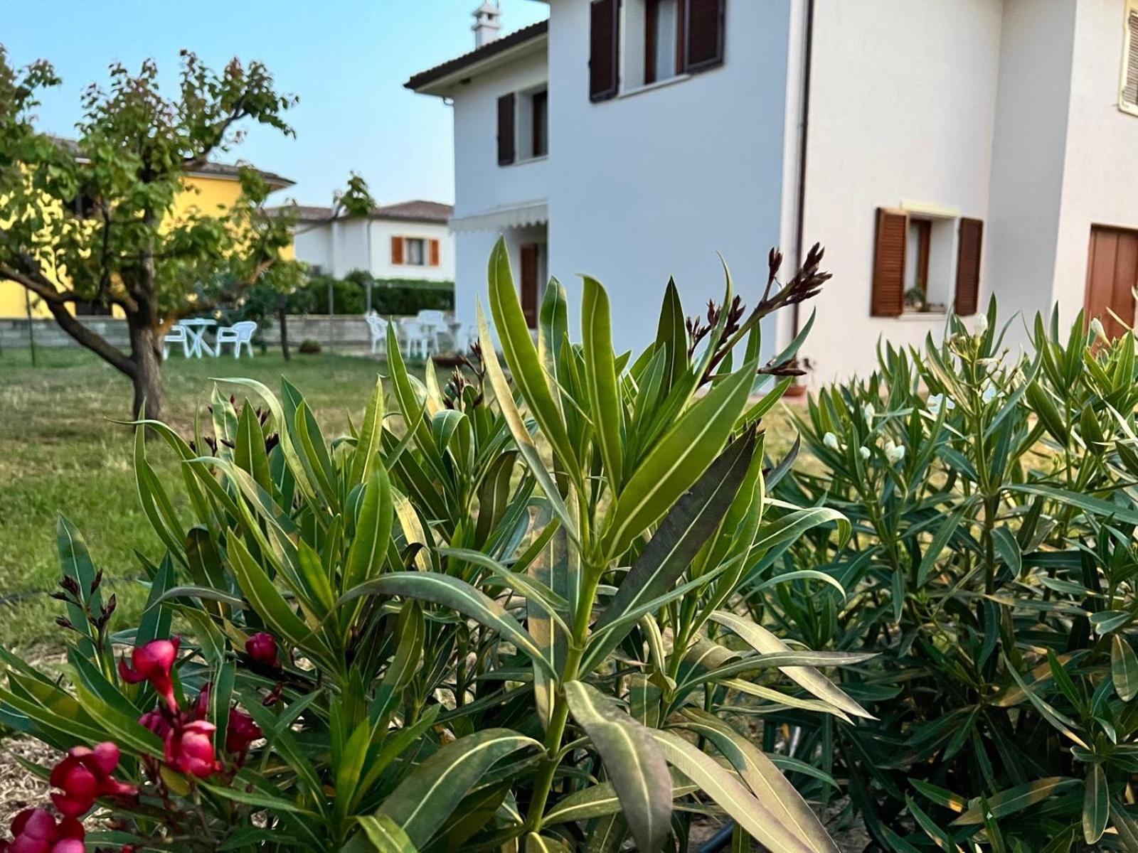 Private Apartment With Garden Cannigione Exterior photo